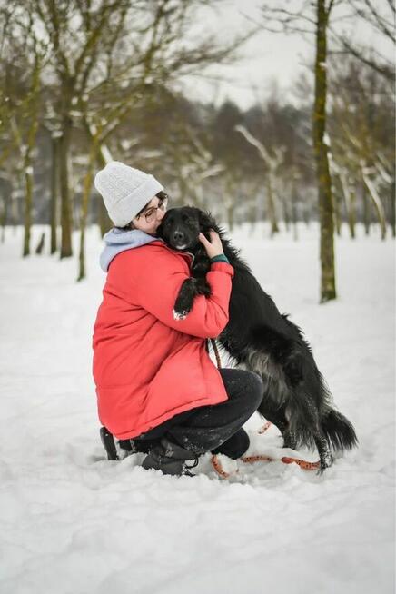 Miki-młody a już poznał smak bezdomności-czeka na dom