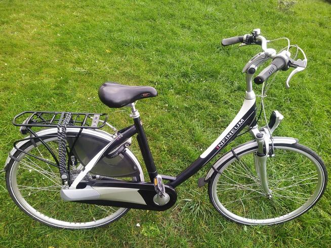 Rower damka Infineum 28 Alu Nexus