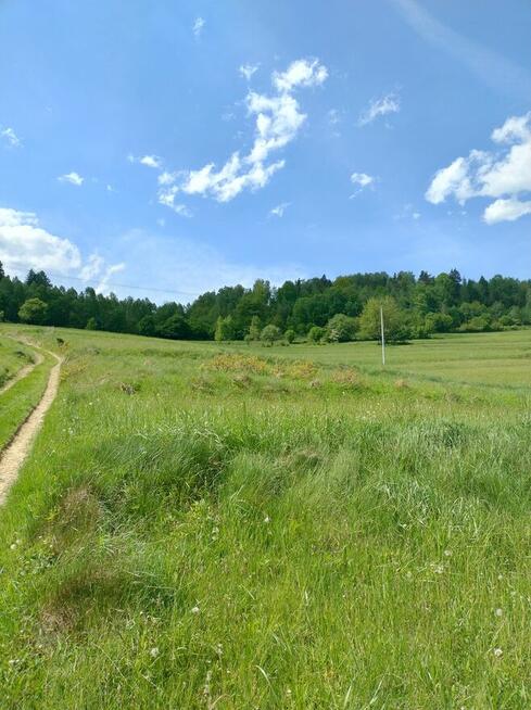 Działka z widokiem Świnna