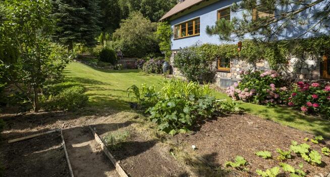 Dom pod lasem z możliwoscią 2 niezal. mieszkań 225m2