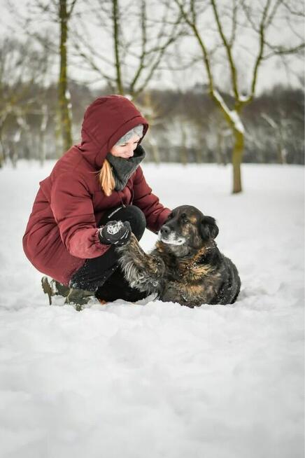 Hera - wspaniała suczka do adopcji