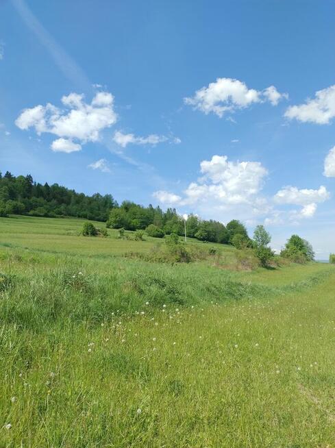 Działka z widokiem Świnna