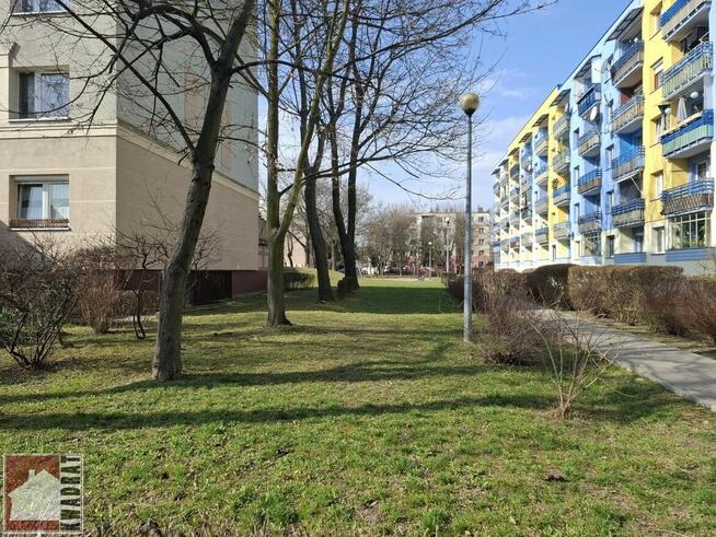 Duże mieszkanie 2 pokojowe, balkon, co miejskie