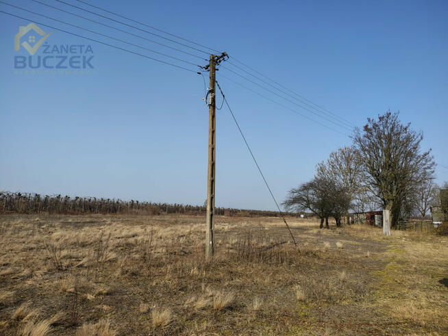 Działka rolna Skarbikowo gm. Kampinos,