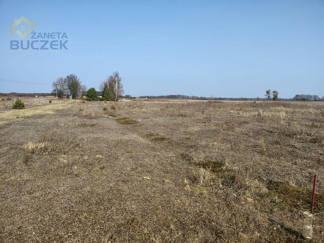 Działka rolna Skarbikowo gm. Kampinos,