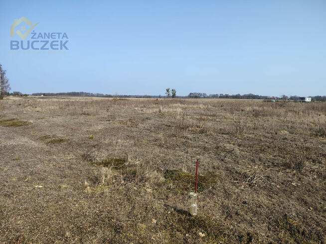 Działka rolna Skarbikowo gm. Kampinos,