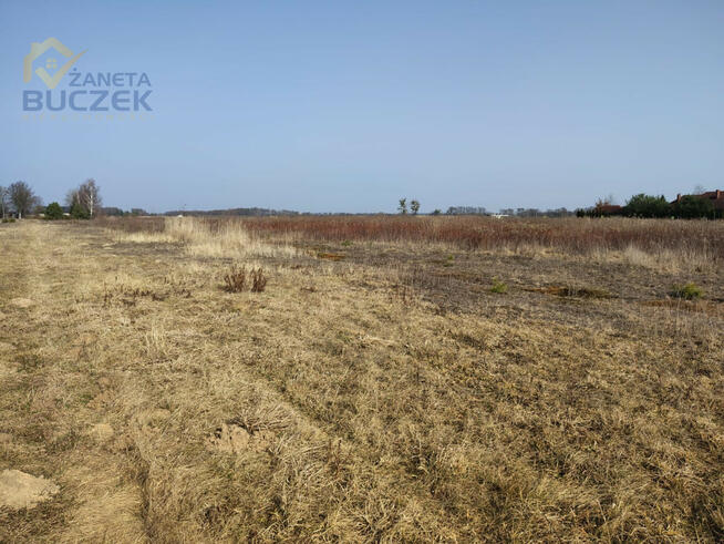Działka rolna Skarbikowo gm. Kampinos,