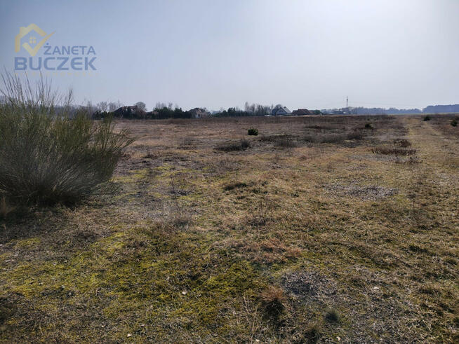 Działka rolna Skarbikowo gm. Kampinos,