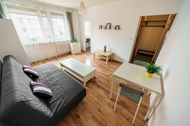 Wynajmę funkcjonalną kawalerkę, Ligocka 4