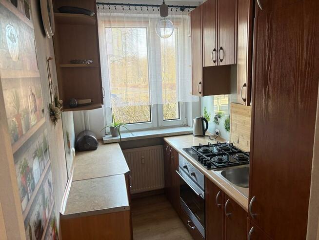 Do wynajęcia funkcjonalne 2 pokoje, Złota 41