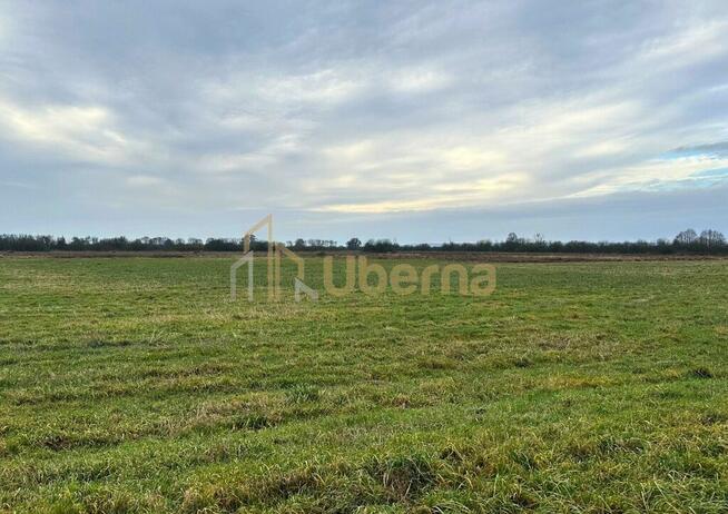 Działka rolna Gm.Goleniów na sprzedaż