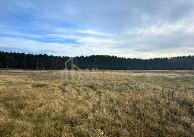Działka rolna Gm.Goleniów na sprzedaż