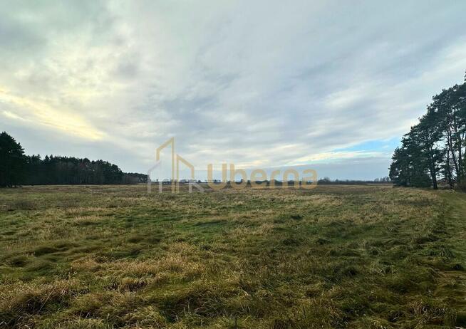 Działka rolna Gm.Goleniów na sprzedaż