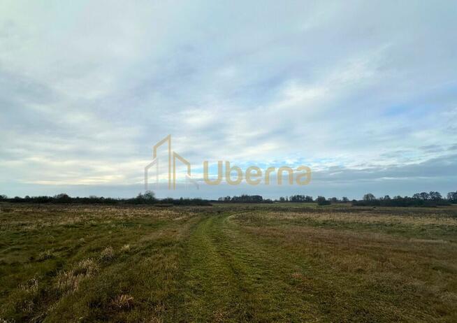 Działka rolna Gm.Goleniów na sprzedaż