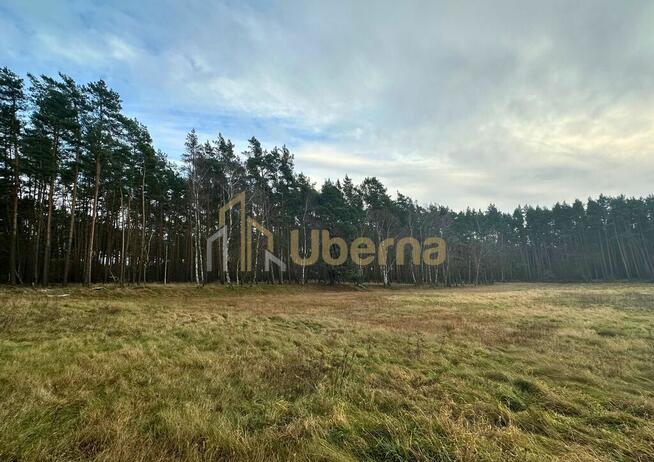 Działka rolna Gm.Goleniów na sprzedaż