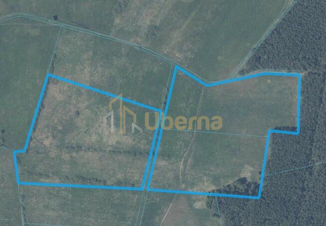 Działka rolna Gm.Goleniów na sprzedaż