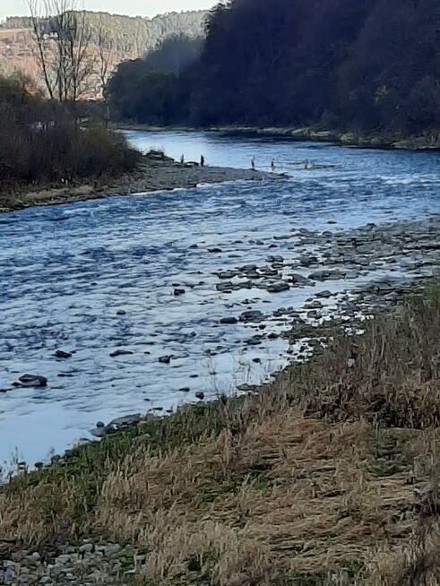 Dom Zabrzeż gm. Łącko, Zarzecze