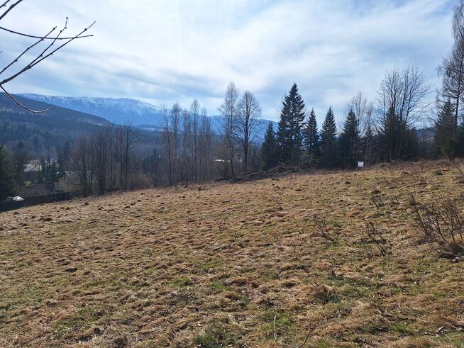 Działka pod lasem 826 m2, widok na Babią Górę!