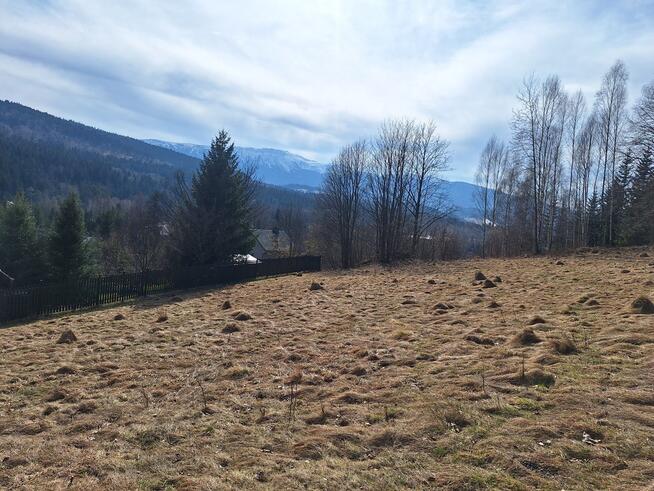 Działka pod lasem 826 m2, widok na Babią Górę!