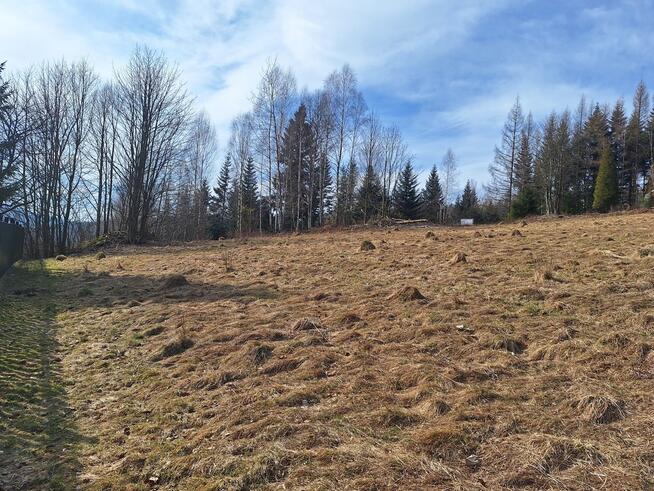 Działka pod lasem 826 m2, widok na Babią Górę!