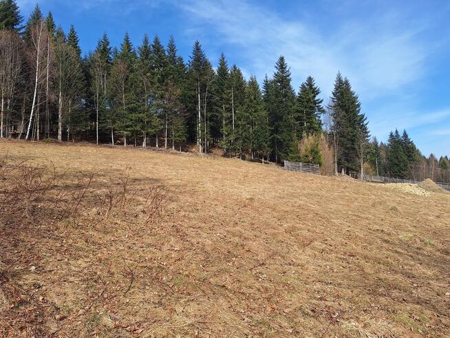 Działka pod lasem 826 m2, widok na Babią Górę!