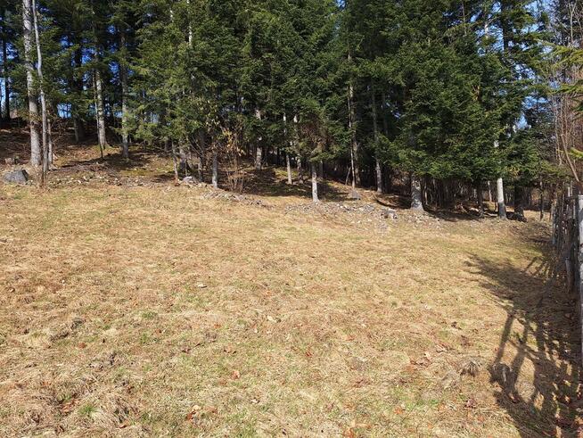 Działka pod lasem 826 m2, widok na Babią Górę!