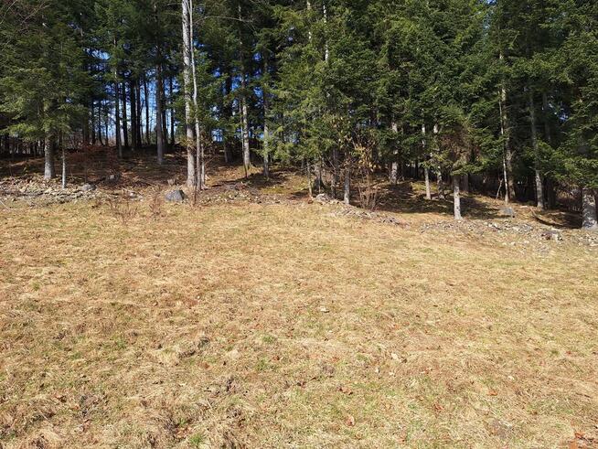 Działka pod lasem 826 m2, widok na Babią Górę!