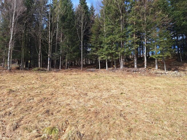 Działka pod lasem 826 m2, widok na Babią Górę!