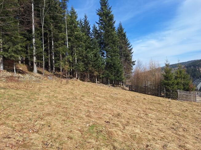 Działka pod lasem 826 m2, widok na Babią Górę!