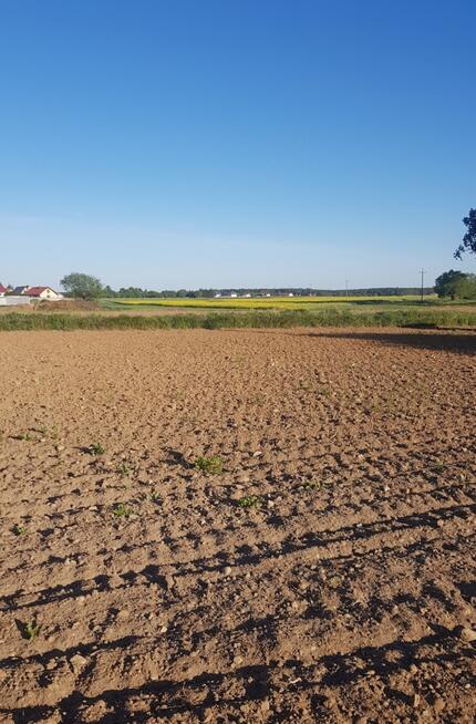 Działka budowlana 1250 ,MPZP, BEZPOŚREDNIO i 980