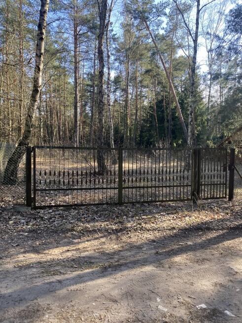 Na sprzedaż trzy sąsiednie działki w Radzyminie na ul. Borówkowej