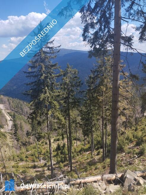 Wynajmę działkę w górach Jeleśnia pod Żywcem