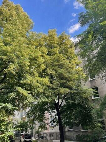 2-pokojowe mieszkanie na Mokotowie