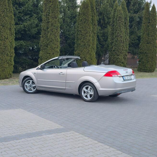 Ford Focus-Cabrio 1.6 Benzyna