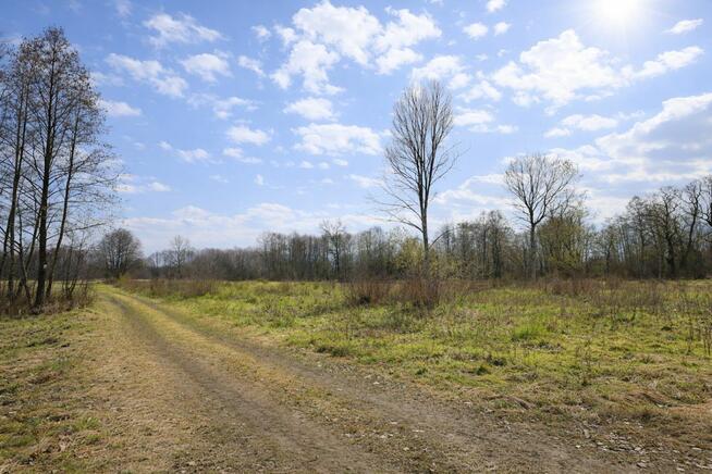 Działka inwestycyjna Malanów gm. Lutomiersk,