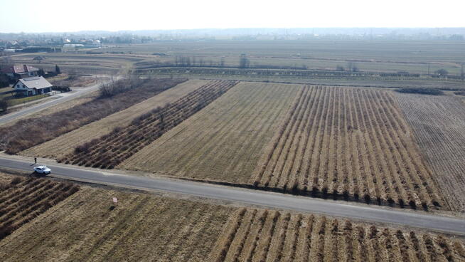 Działka 22 MN 1072 m2 w Końskowoli gm. Puławy.