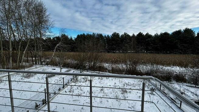 Mieszkanie Kamieniec Wrocławski gm. Czernica, Miodowa