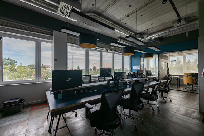 Lokal użytkowy Wrocław Psie Pole, Karłowice, Żmigrodzka