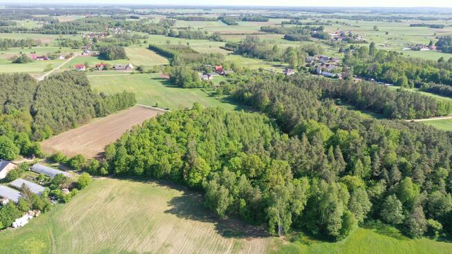 Działka leśna Stary Cydzyn gm. Piątnica