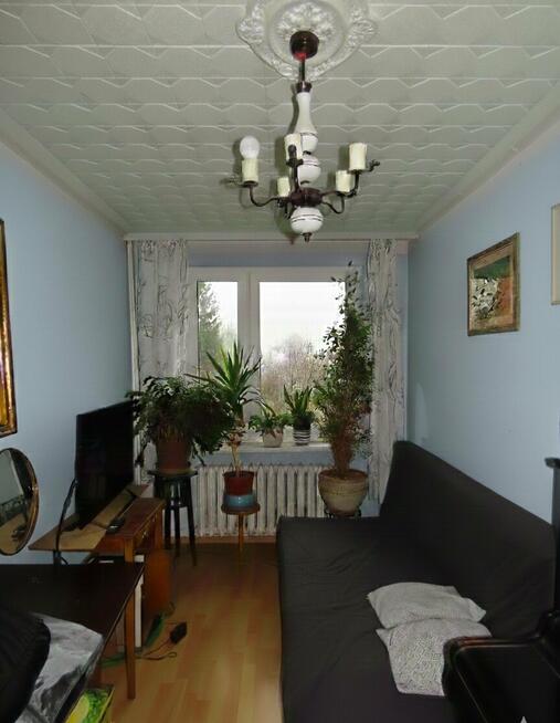 Mieszkanie Tychy P, Poziomkowa