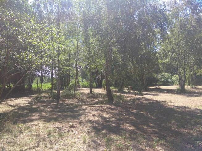 Duża działka w otulinie Kampinosu, Dąbrowa , gm. Łomianki