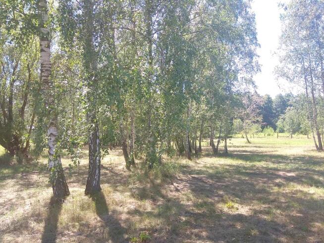 Duża działka w otulinie Kampinosu, Dąbrowa , gm. Łomianki