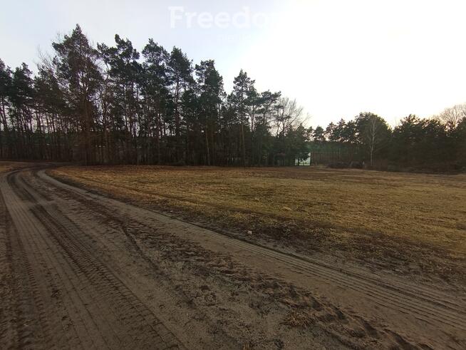 Działka budowlana z lasem, blisko autostrady A1