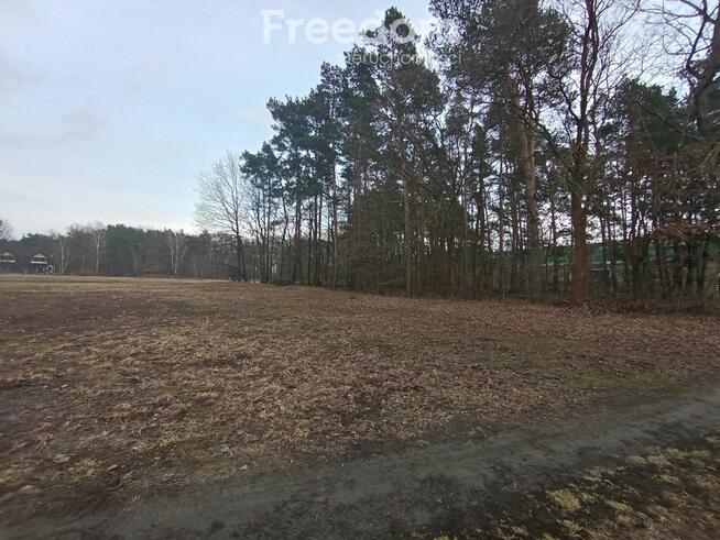 Działka budowlana z lasem, blisko autostrady A1
