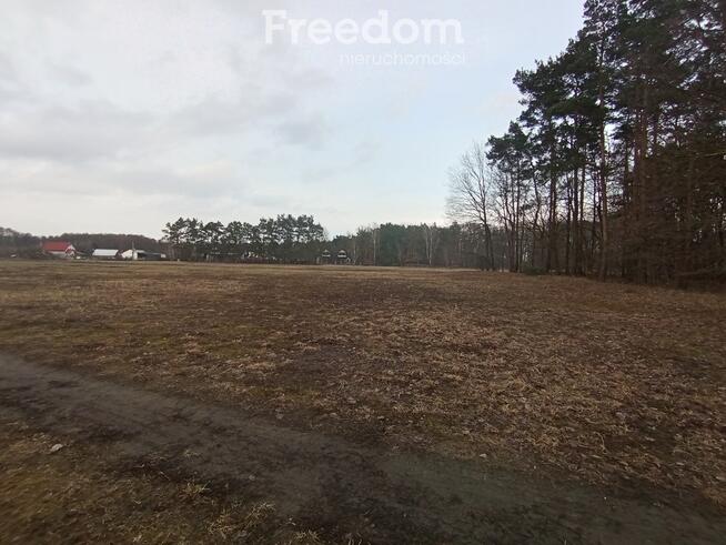 Działka budowlana z lasem, blisko autostrady A1