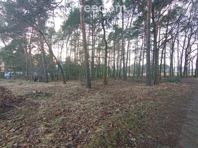 Działka budowlana z lasem, blisko autostrady A1