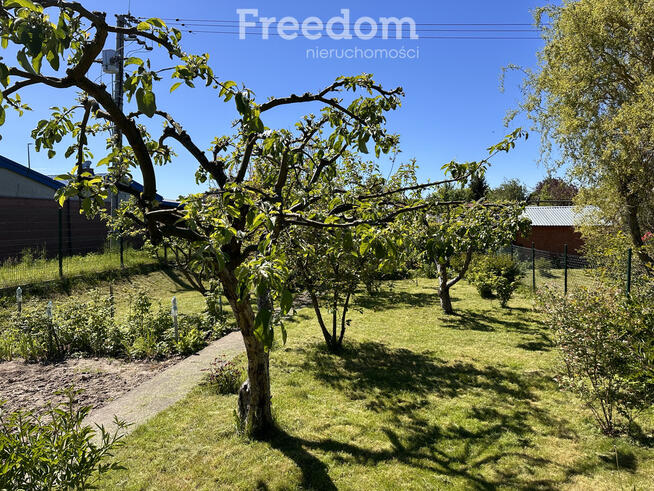 Ogródek działkowy przy ul. Królewieckiej w Elblągu