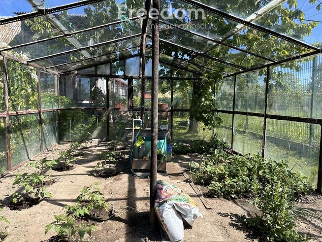 Ogródek działkowy przy ul. Królewieckiej w Elblągu