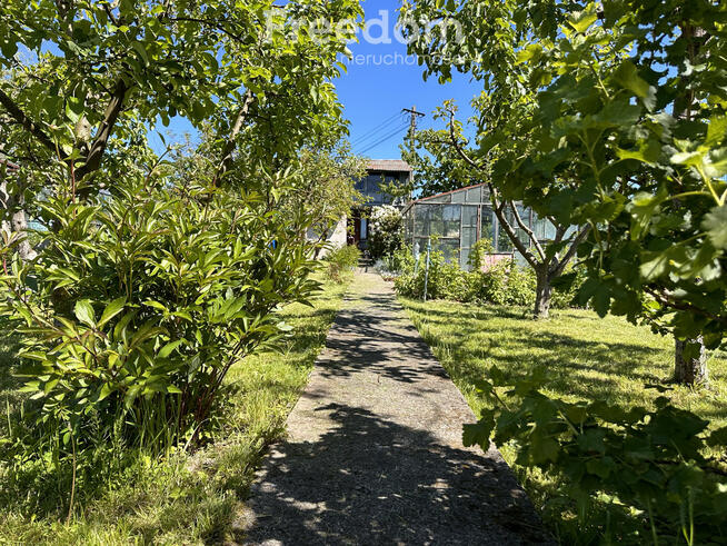 Ogródek działkowy przy ul. Królewieckiej w Elblągu