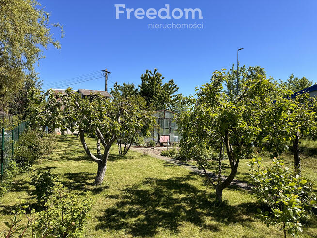 Ogródek działkowy przy ul. Królewieckiej w Elblągu